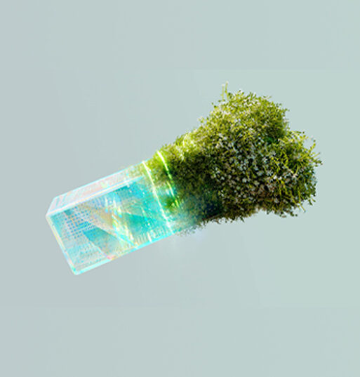 What is Branding?
The different between Branding and Marketing